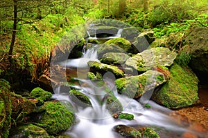 Mountain creek in the National park Sumava