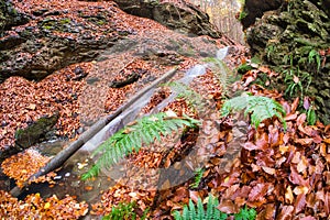 Mountain creek in Tajovska dolina gorge near Tajov village during autumn