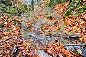 Mountain creek in Turovska roklina gorge during autumn in Kremnicke vrchy mountains