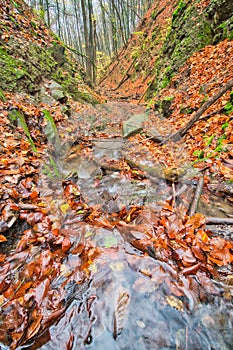 Mountain creek in Turovska roklina gorge during autumn in Kremnicke vrchy mountains