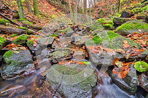 Mountain creek in Turovska roklina gorge during autumn in Kremnicke vrchy mountains