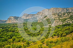 Mountain Crimea rocks and trees on slope, forest