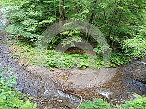 Mountain curve river Green foliar forest view from above hill Carpathian Ukraine Beech trees