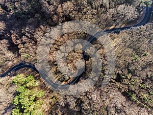 Mountain Curvy Road, Spring Time