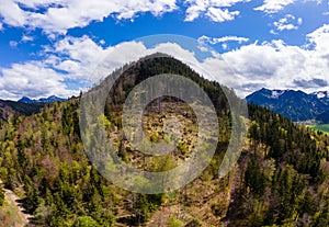 Mountain with damaged forrest.