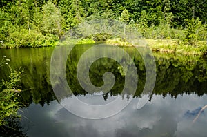 Mountain Dead Lake in the forest in the national park in the Skole Beskids near Lviv