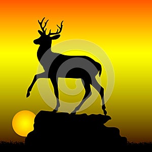 Mountain deer on top of a hill, silhouette on a sunrise background,