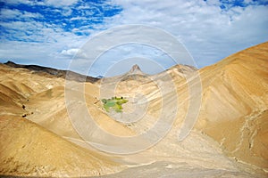 Mountain desert oasis