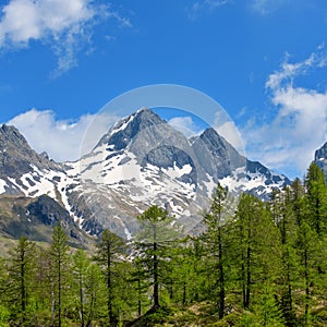 The mountain of the Diavolo di Tenda on the Orobie Alps in the Brembana valley photo