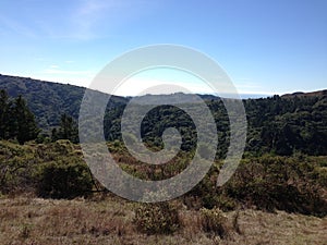 Mountain, Dipsea Trail, Stinson Beach, San Francisco, CA