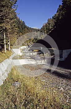 Mountain dry river bed in forest