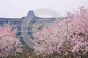 Mountain early spring