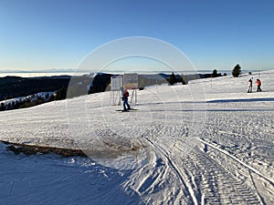 Mountain Feldberg in germany in winter time