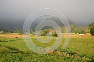 Mountain field in the fog