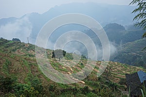 The mountain fields in the minority village
