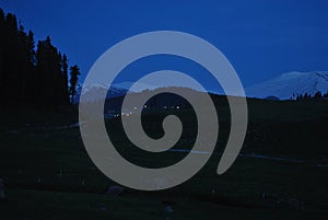 Mountain flower in dark background look fabulas