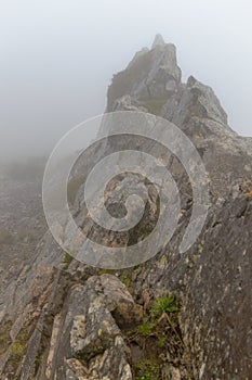 Mountain in the fog in the cloud of the island of Madeira, Portugal