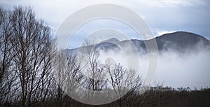 Mountain and fog in Japan on winter