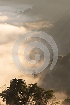 Mountain fog in morning sunrise landscape.beautiful view of mountain range in the mist background.Mountain valley texture in