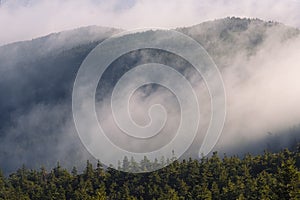 Mountain Fog on Mount Monadnock photo