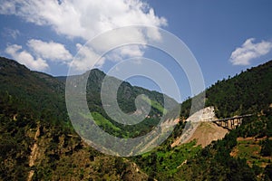 Mountain and forest