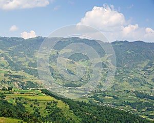 Mountain and forest