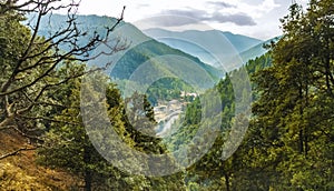 Mountain forest in Bhutan, the Himalayas in the spring, on the way to the mountain monastery Cheri near Thimphu. View of Thimphu photo