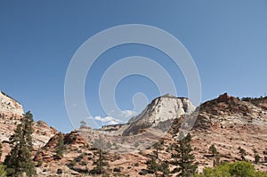 Mountain Forest with Blue Sky