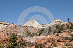 Mountain Forest with Blue Sky