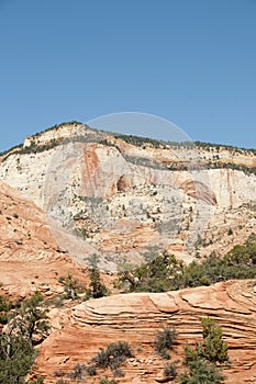 Mountain Forest with Blue Sky