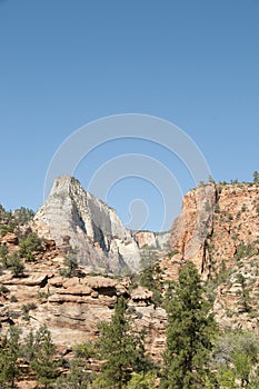 Mountain Forest with Blue Sky