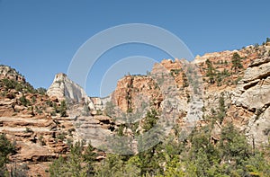 Mountain Forest with Blue Sky