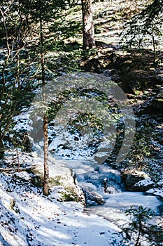 In a mountain forest frozen creek with snow above