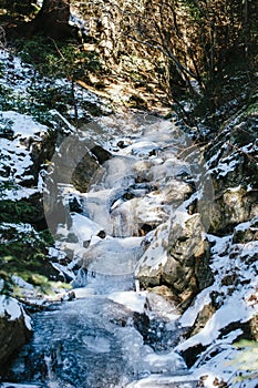 In a mountain forest frozen creek with snow above