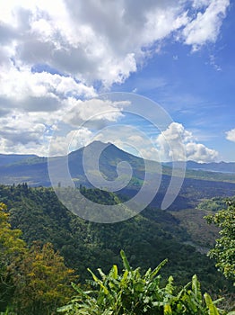 Mountain forest green view natural bright sunny briliant beautiful