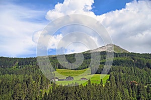 Mountain,forest and houses in Bad Gastein landscape