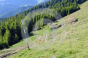 Mountain forest itinerary