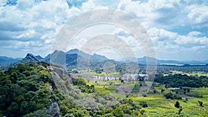 Mountain Forest and Lake Sunny Day Airscape View