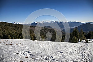 Mountain forest landscape and Baiului mountains