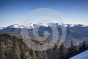 Mountain forest landscape and Baiului mountains