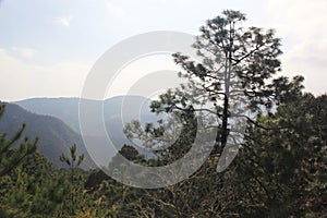 Mountain and forest landscape inside los Marmoles natural park in Zimapan Hidalgo Mexico photo