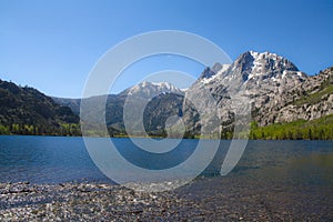 Mountain and Forest Landscape, June Lake, Caliofrnia