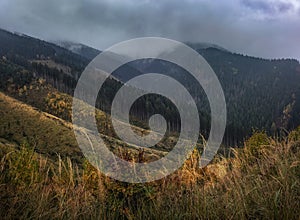 Mountain forest landscape under evening sky with clouds