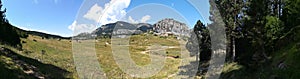 Mountain forest panoramic photo