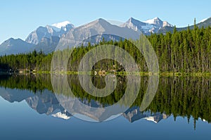 Mountain and forest Reflection in Mirror Lake