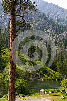 Mountain Forest and River Landscape