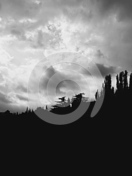mountain forest silhouette monochrome shot