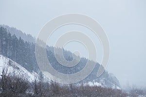 Mountain with forest in snowfall
