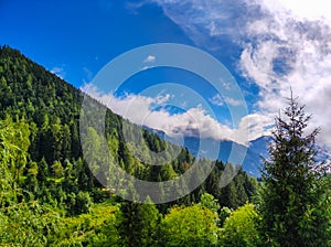 mountain forest on a sunny and cloudy day