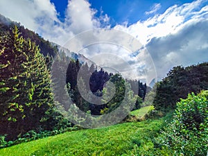 mountain forest on a sunny and cloudy day